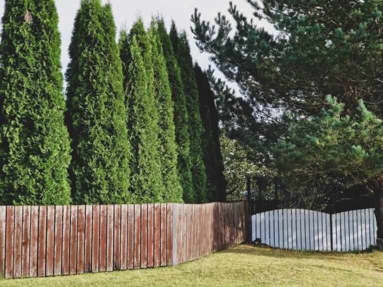 Backyard Privacy Fence Ideas and Costs for 2026
