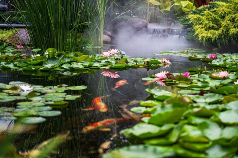 Backyard Water Features and Ponds: 2026 Ideas and Costs