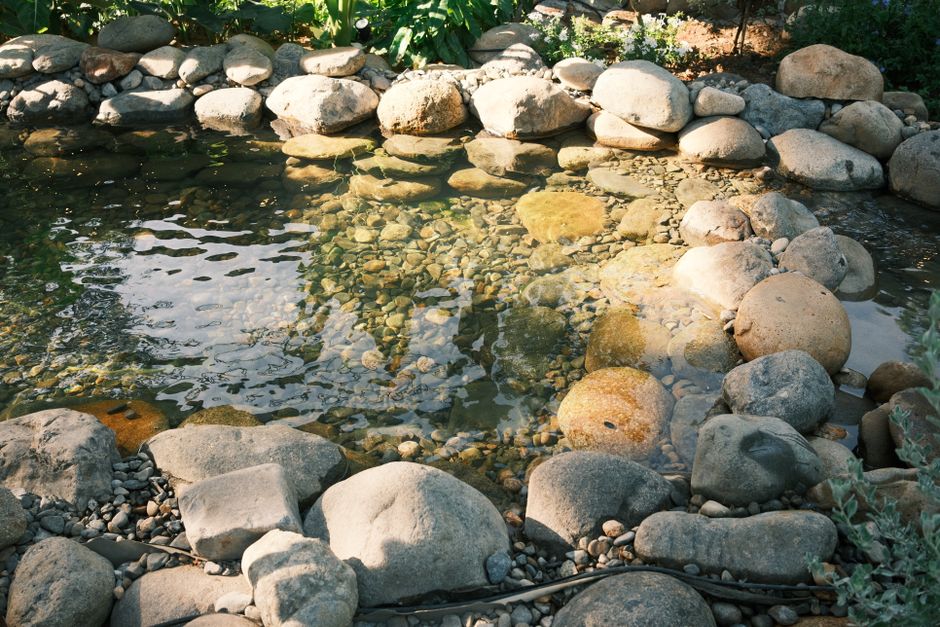 Backyard Water Features and Ponds: 2026 Ideas and Costs