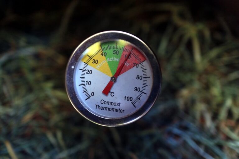 Composting 101: Turn Kitchen Scraps Into Free Garden Gold