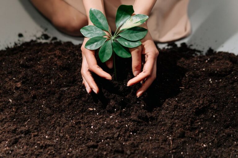 Garden Soil Guide: How to Test, Improve, and Build Healthy Soil
