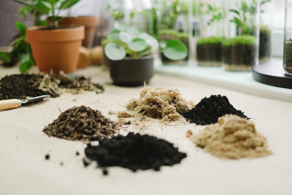 Garden Soil Guide: How to Test, Improve, and Build Healthy Soil
