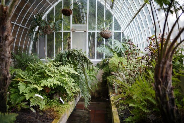 Greenhouse Cost Guide 2026: Prices, Running Costs, and ROI