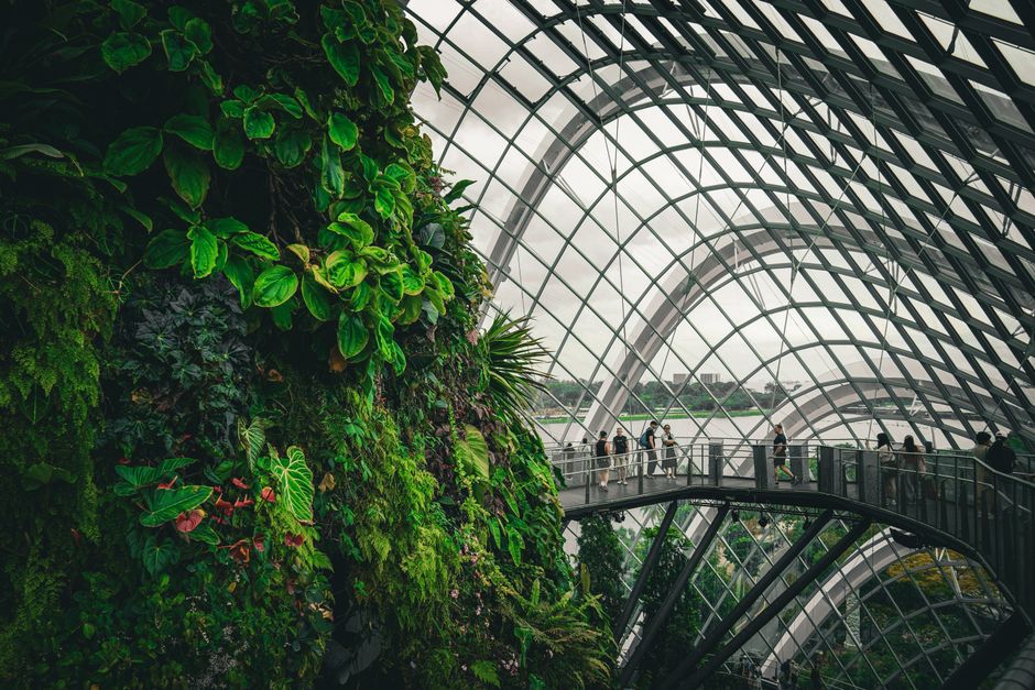 Greenhouse Cost Guide 2026: Prices, Running Costs, and ROI