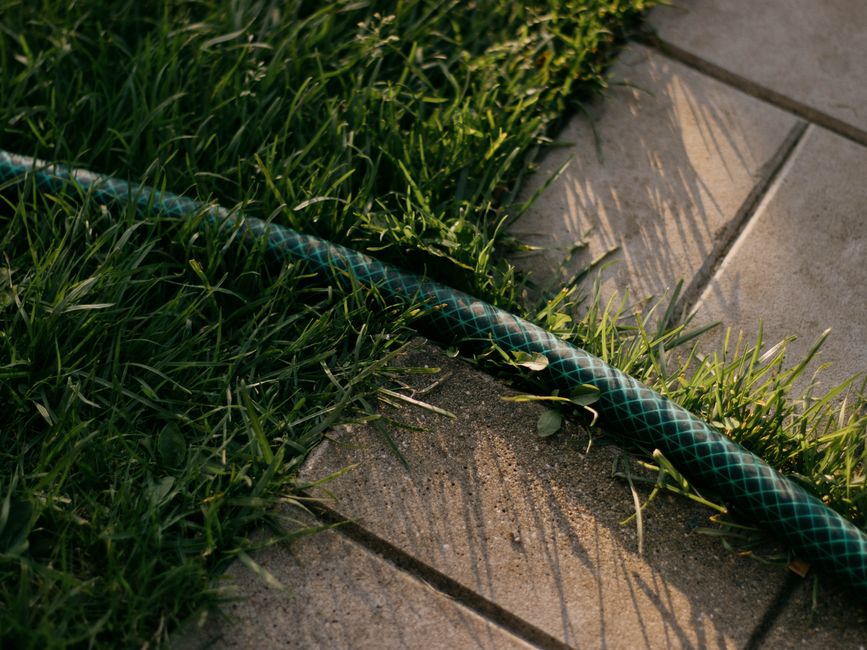 How Much Does Lawn Care Cost in 2026? A Full Homeowner Price Guide