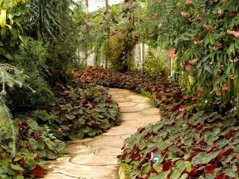 Landscaping Cost Guide 2026: Budgets, Projects, and ROI