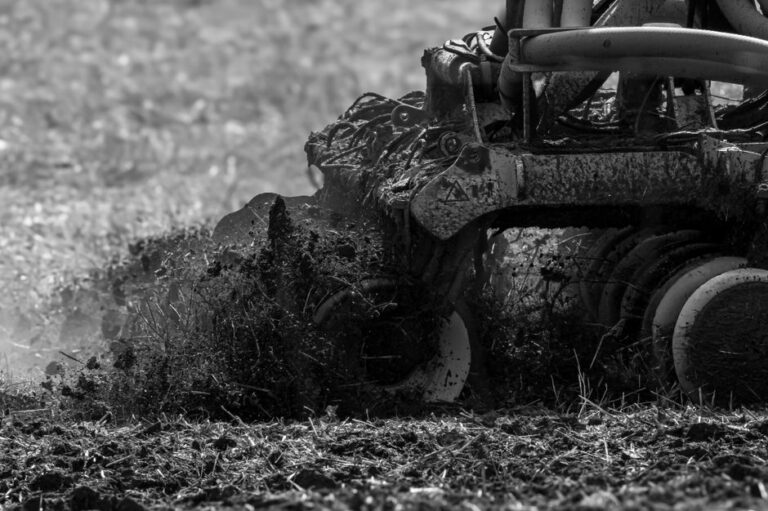 Lawn Aeration Guide: Cost, Benefits, and the Best Time to Aerate
