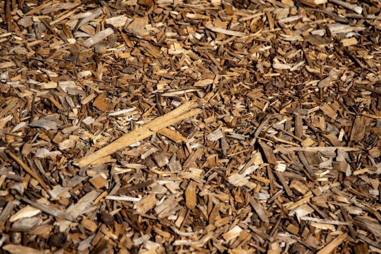 Mulch Types and Cost: Choosing the Best Mulch for Your Yard