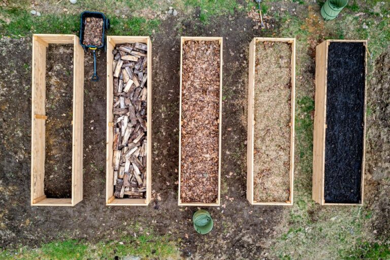 Raised Garden Beds: Costs, ROI, and How to Build Your First Bed