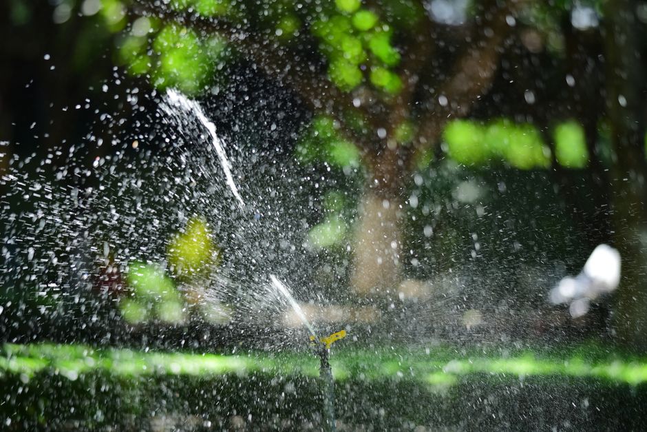 Sprinkler System Cost 2026: Installation, Types, and ROI