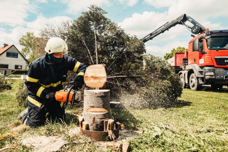 Tree Removal Cost 2026: Pricing by Size, Type, and Complexity