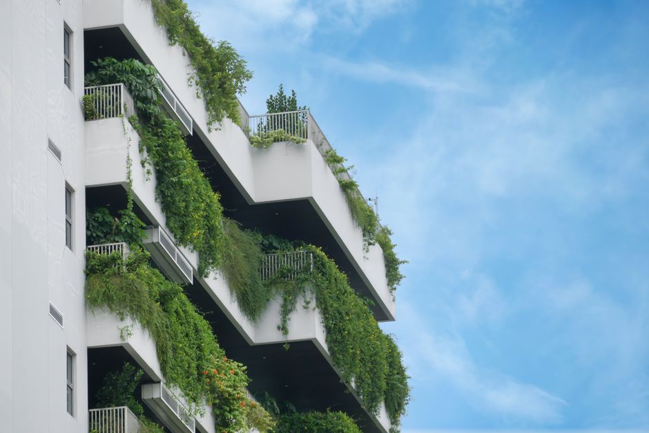 Vertical Gardening: Grow More Food in Small Spaces by Going Up